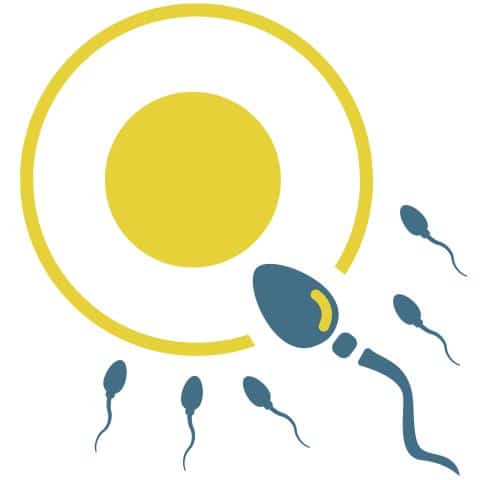 Link to fertility and all things try to conceive Blog Post List