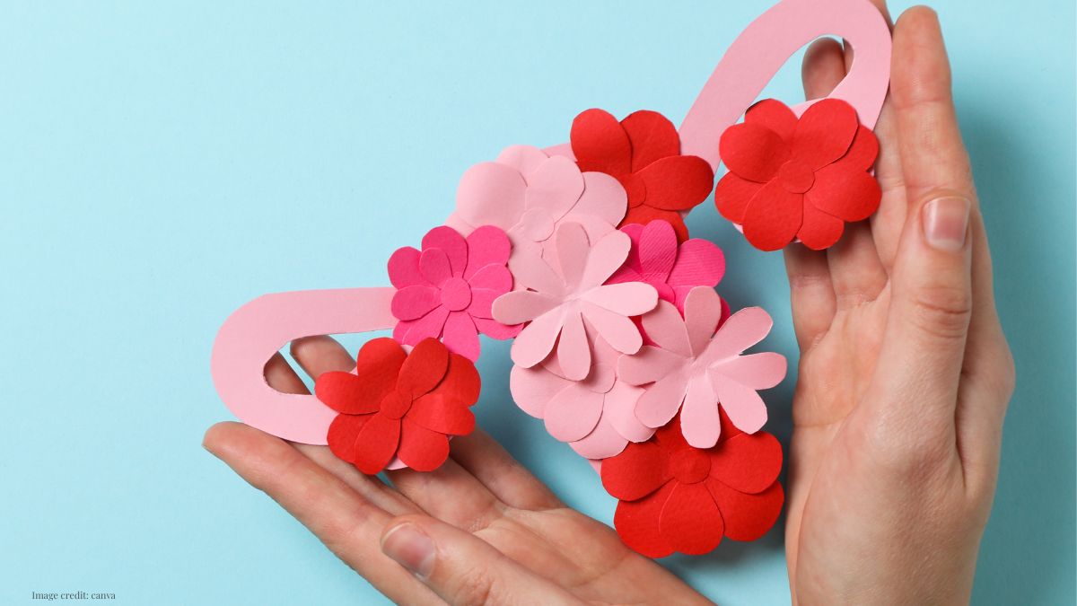 how to help implantation blog featured image of uterus