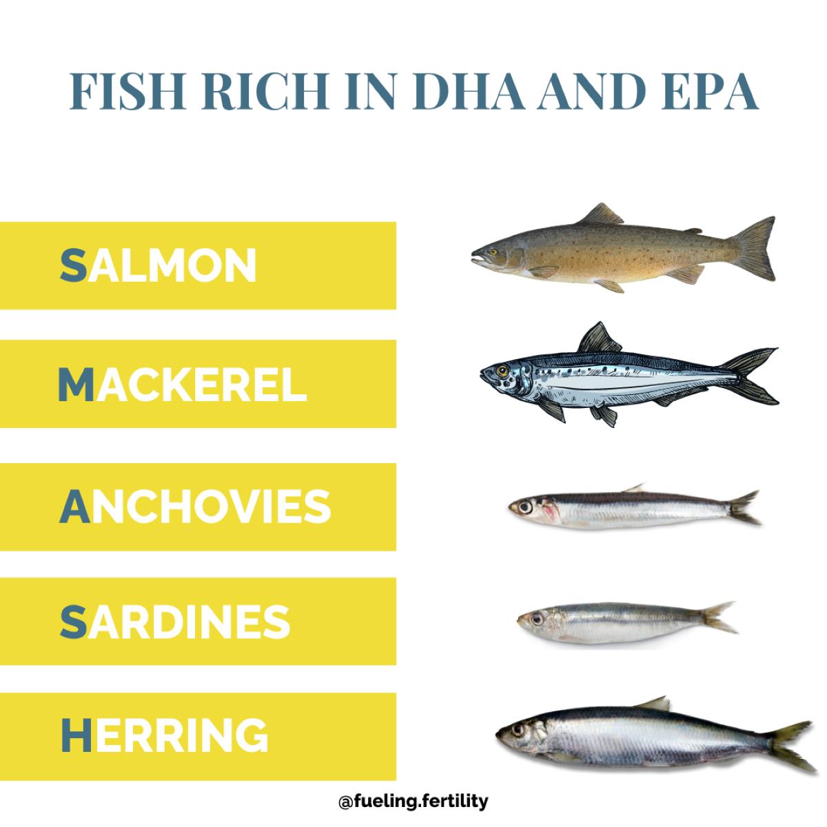 low mercury DHA and EPA rich fish list