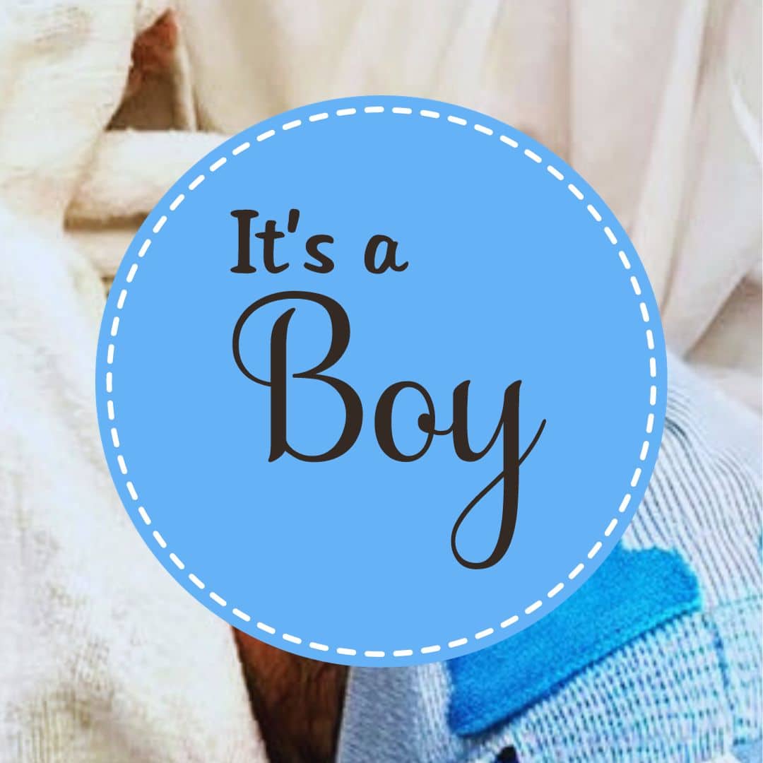 picture of baby boy