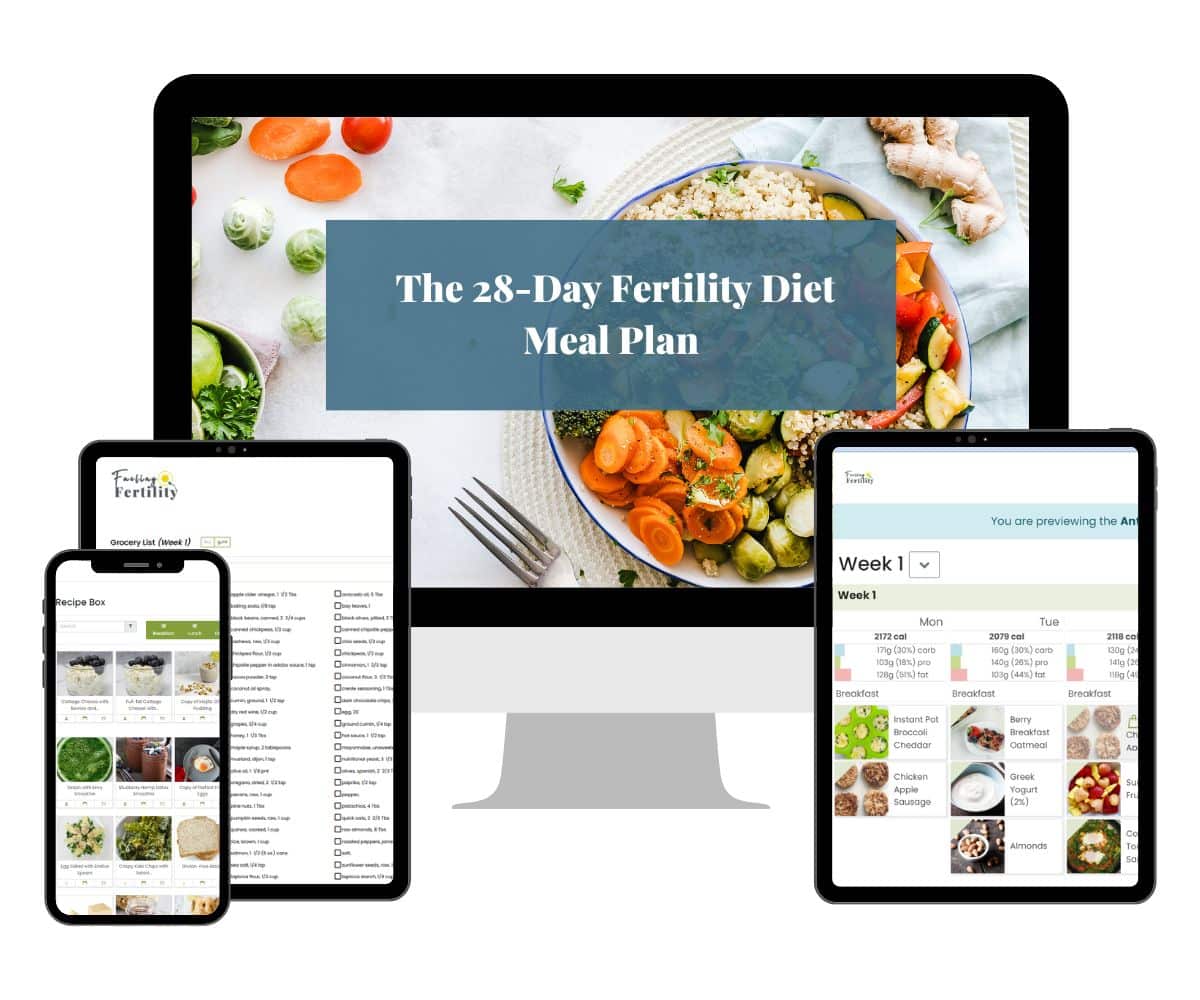 Fertility Diet Meal Plan